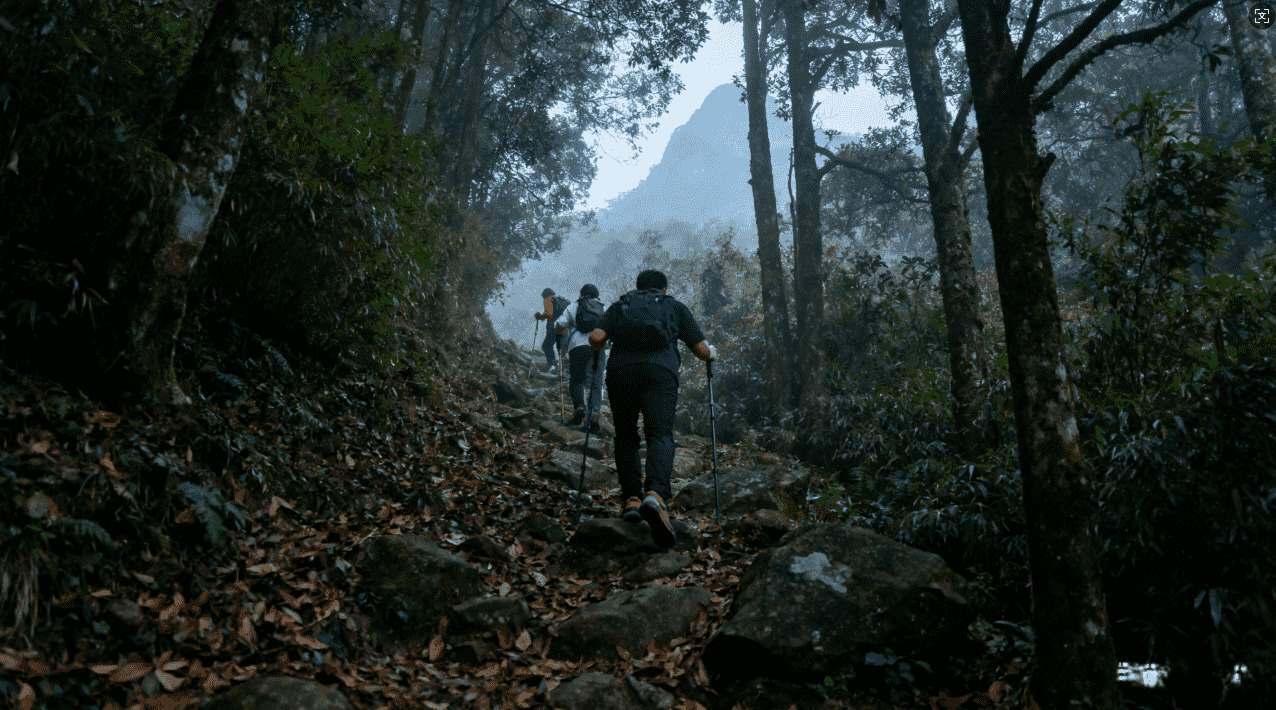白鲸加速器初始化app失败的原因分析与解决方案